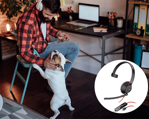 Homem com cachorro em home office